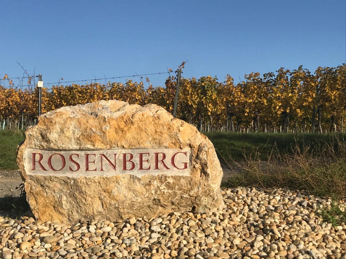 Göttlesbrunn Weingut & Gastezimmer Edelmann المظهر الخارجي الصورة