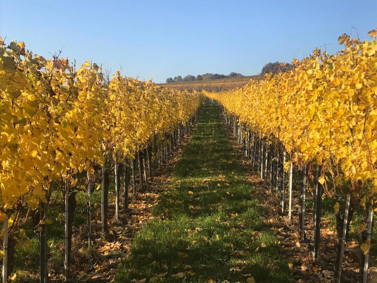 Göttlesbrunn Weingut & Gastezimmer Edelmann المظهر الخارجي الصورة