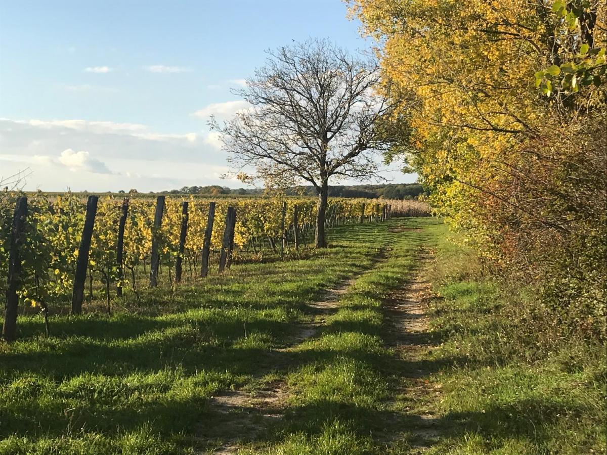 Göttlesbrunn Weingut & Gastezimmer Edelmann المظهر الخارجي الصورة